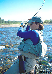 Fish on Photo courtesy Kleinkauf
