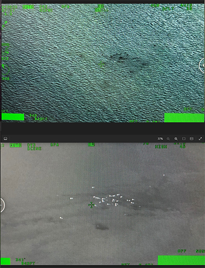 A pair of aerial photographs of a group of marine mammals  the bottom image is infrared and the temperature difference between the animals and the water makes them much more detectable