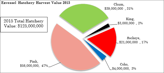 Species composition of 2015 Alaska hatchery exvessel commercial harvest with the value by species and the percent of the total hatchery value for each species About 93 million salmon were harvested in the commercial fisheries in 2015 worth an estimated exvessel value of 125 million  Pink salmon comprised 47 of the total value followed by chum salmon 31 and sockeye salmon 17