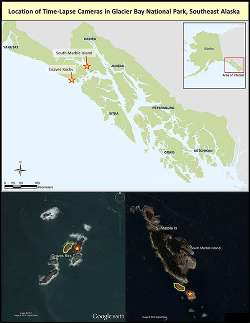 Glacier Bay National Park has two of the fastest growing Steller sea lion haulouts in Southeast Alaska Graves Rocks a rookery and South Marble Island a haulout  We placed a timelapse camera at each site during 2016  In the images of South Marble Island and Graves one normal location for Steller sea lions aggregations has been circled and the camera system is indicated by a star