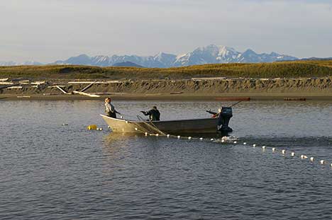 Set net fishing