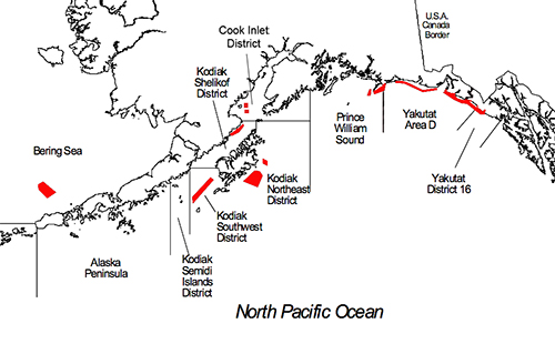 Scallop fishing areas in red  Kodiak Island is left of center on the map The Yakutat area beds are the long red lines along the coast on the upper right Yakutat  Bay is the large bay on the coast in the middle of Yautat area D