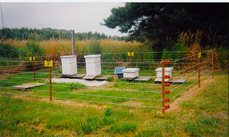 An electric fence around bee hives in South Central Alaska Electric fences are excellent bear deterrents and the Fish and Game website offers a good deal of information and howto videos
