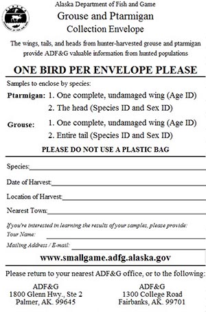 The wing envelope