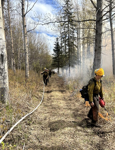 A fire crew member uses a drip torch to ignite fire A firehouse is on the left  The crew surrounded the burn units with a hoselay system fed by a water pump Mainly a ldquojust in caserdquo precaution if fire activity became erratic near the boundaries  it39s also utilized to hose down some of the smoldering large fuels such as stumps and tree trunks near the  boundaries