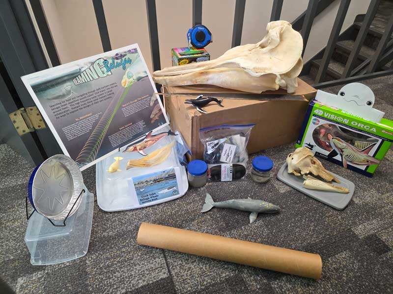 Cetaceans Kit