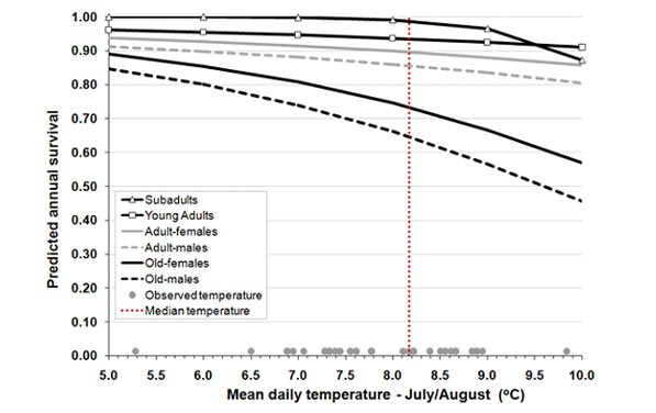 Figure 4 Predicted annual survival of mountain goats in different sex and age categories across the range of average daily summer temperatures JulyAugust observed in this study coastal Alaska 19772008