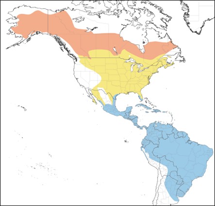 Range map of Solitary Sandpiper in Alaska