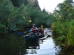 Tawah Creek